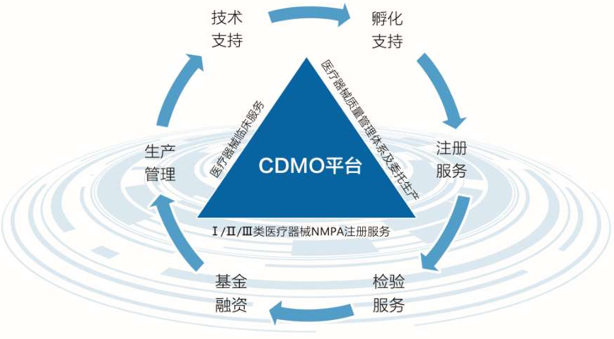 专业服务